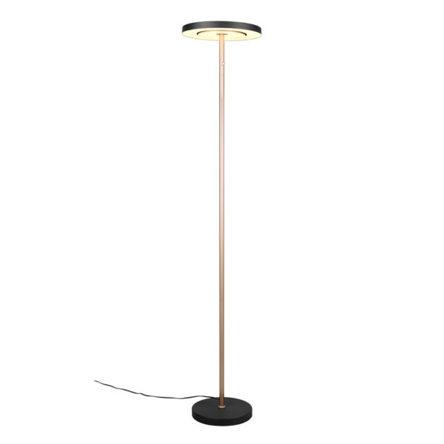 Guano lattiavalaisin